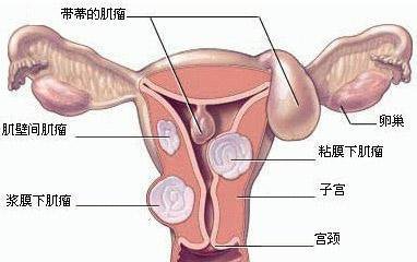 游戏专题 第41页