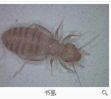 游戏专题 第37页