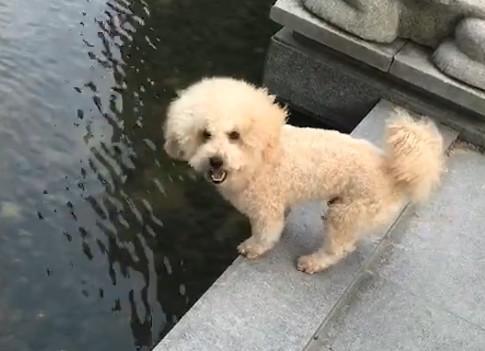 港澳新闻 第18页