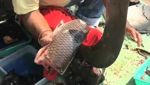 热点生活 第9页