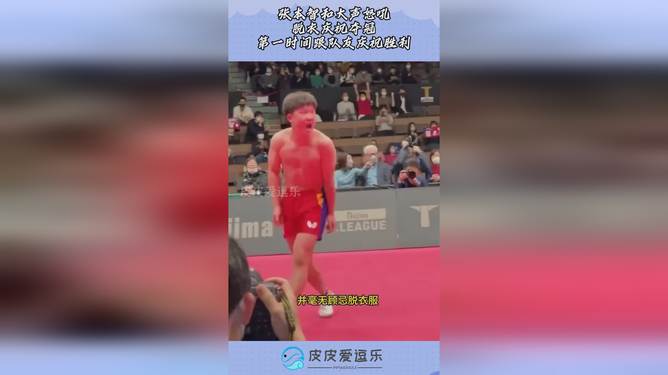 张本智和夺冠后脱衣庆祝 并亮出球衣