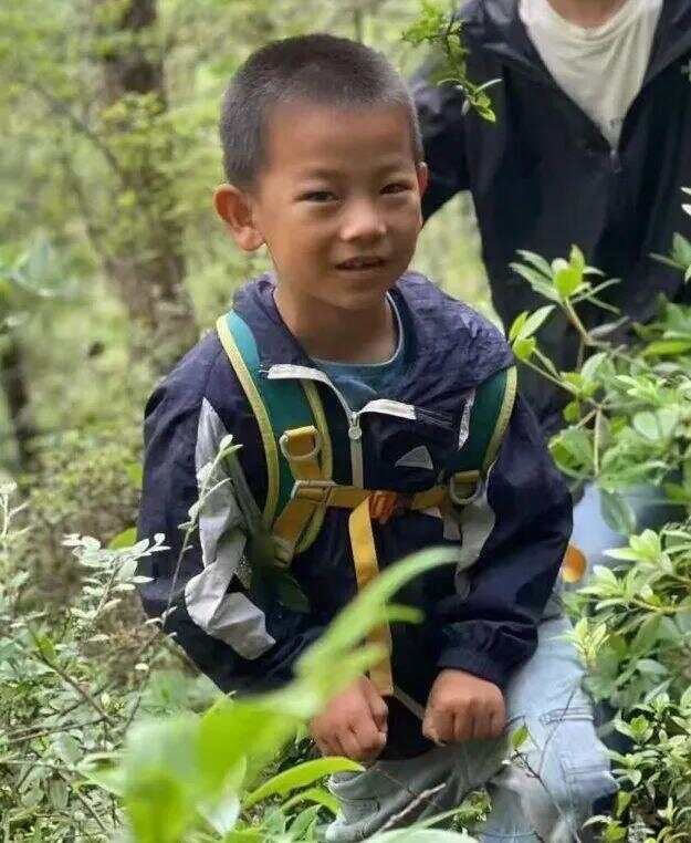 男孩失联夏令营被查夏令营惊魂记，男孩失联事件引发关注与调查