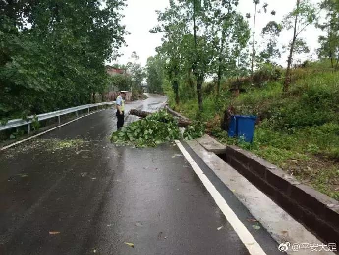 实拍北京暴雨：天瞬间变黑树枝狂摇实拍北京暴雨，天瞬间变黑树枝狂摇——一场震撼的自然盛宴